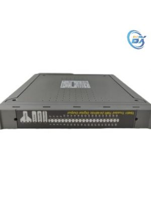 ICS TRIPLEX T8461 | Digital Output Module