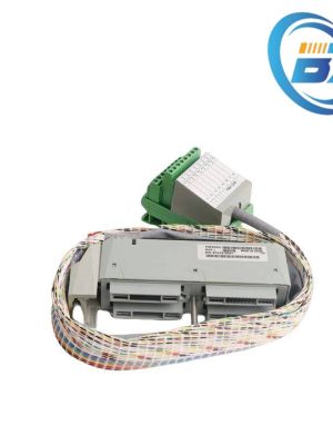 FOXBORO P0500RG Control Module for Industrial Automation