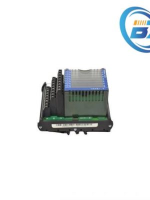 FOXBORO P0916JQ PLC Module