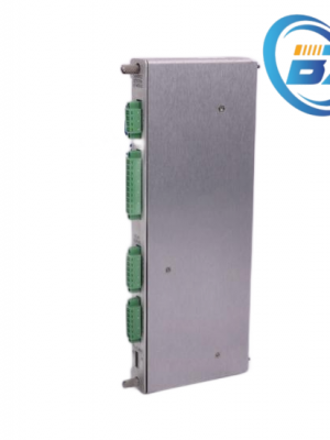 BENTLY 125800-01 Custom Processing Module
