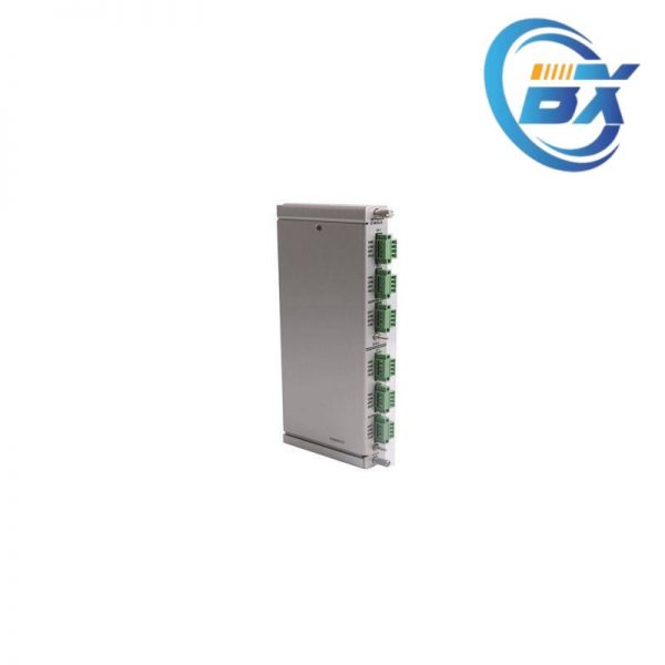 BENTLY 125800-01 Custom Processing Module