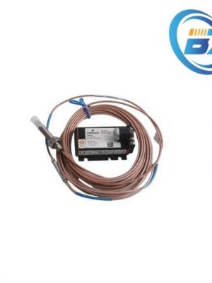 EMERSON PMC-IO-PROZESSOR, Industrial Process Control Module