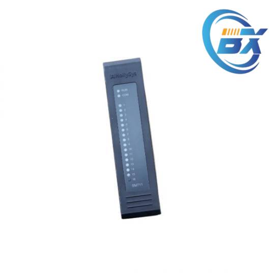 DDK SAN3-24 - High-Performance Industrial Control Module