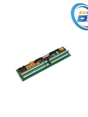 GE DS200FSAAG2ABA AC Output Module