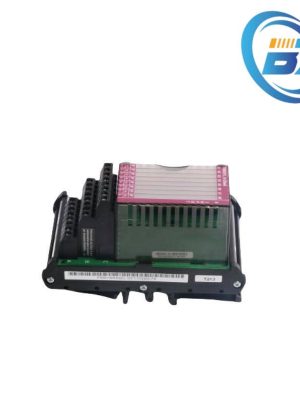 FOXBORO P0916AA Control System Module, New Direct Hair