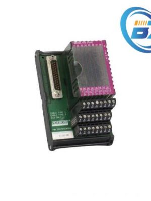 FOXBORO P0916AE Real-Time Multitasking Kernel Module